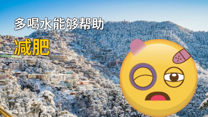 多喝水能够帮助减肥 动画制作软件有哪些