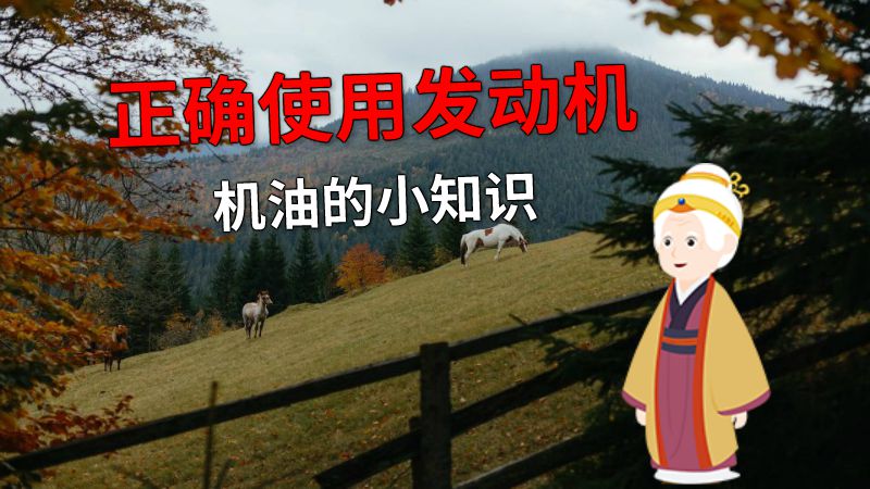正确使用发动机机油的小知识 动画制作软件有哪些