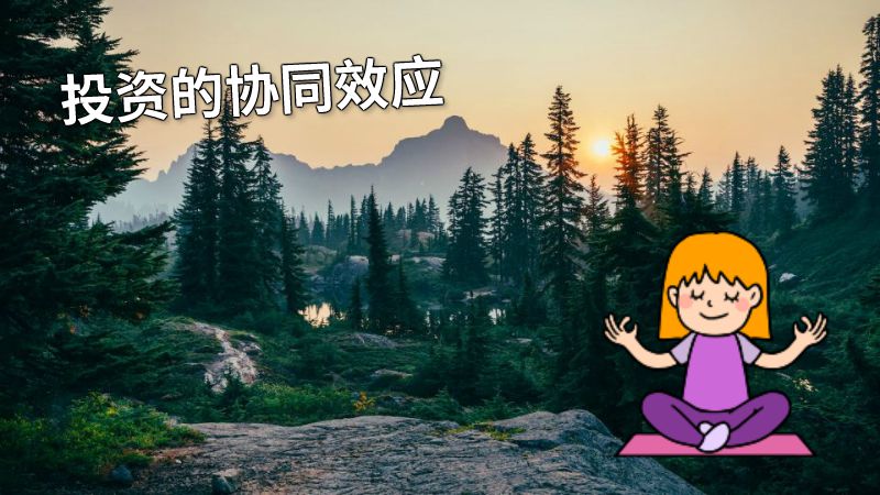投资的协同效应 动画制作软件有哪些