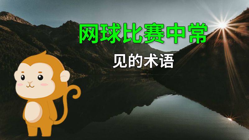网球比赛中常见的术语 动画制作软件有哪些