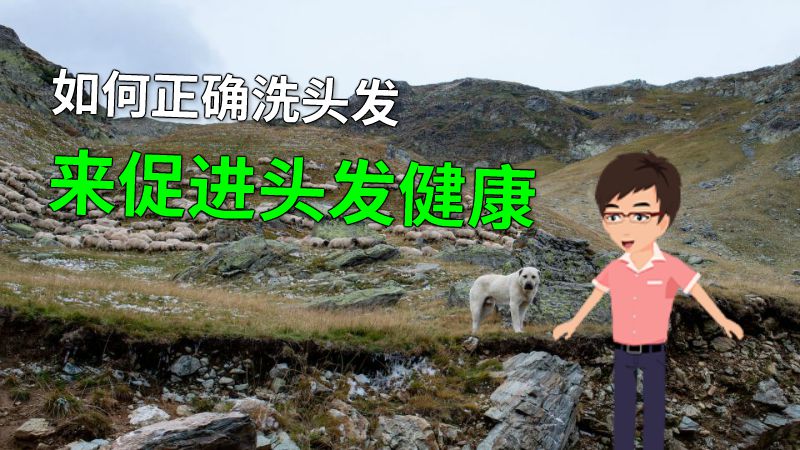 如何正确洗头发来促进头发健康 动画制作软件有哪些