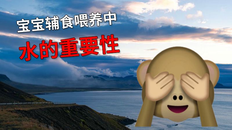 宝宝辅食喂养中水的重要性 动画制作软件有哪些