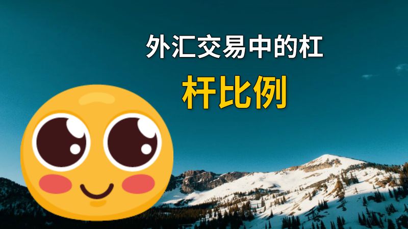 外汇交易中的杠杆比例 动画制作软件有哪些