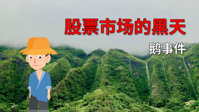 股票市场的黑天鹅事件 动画制作软件有哪些