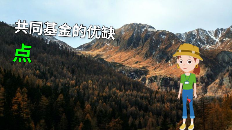 共同基金的优缺点 动画制作软件有哪些