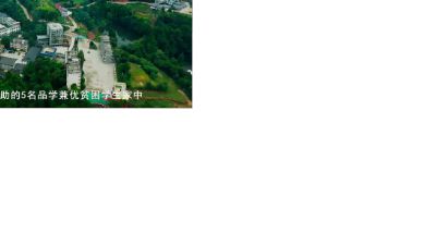 第三次作业案例.am 动画制作软件有哪些