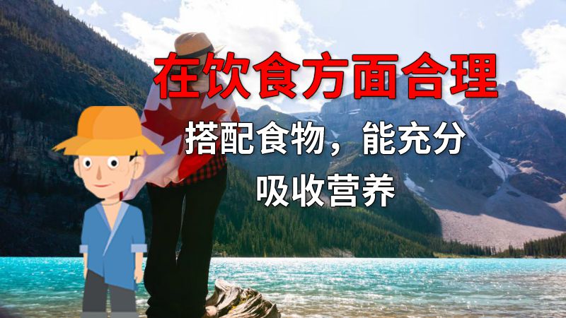 在饮食方面合理搭配食物，能充分吸收营养 动画制作软件有哪些