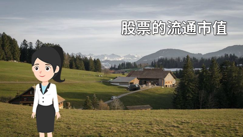 股票的流通市值 动画制作软件有哪些