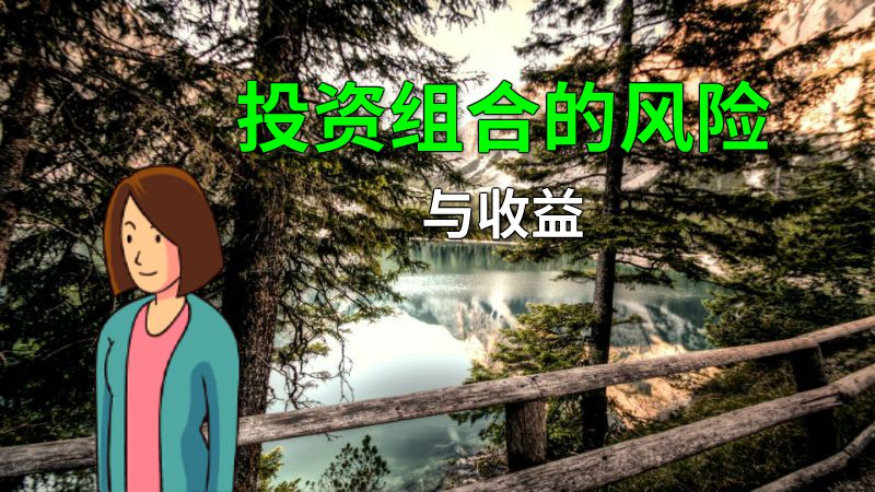 投资组合的风险与收益 动画制作软件有哪些