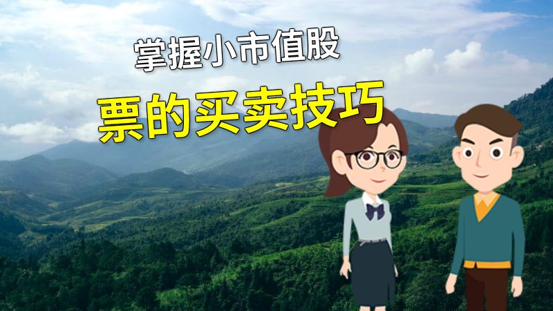 掌握小市值股票的买卖技巧 动画制作软件有哪些