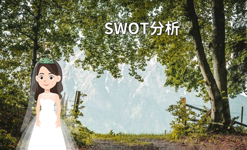 SWOT分析 动画制作软件有哪些