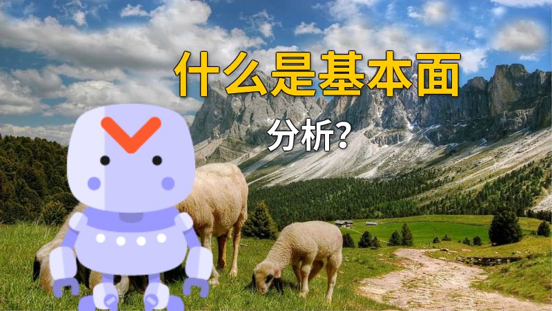 什么是基本面分析？ 动画制作软件有哪些