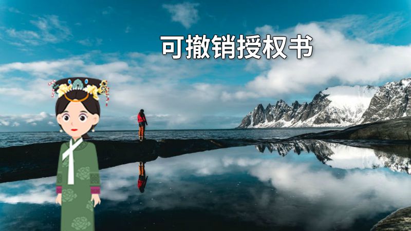 可撤销授权书 动画制作软件有哪些
