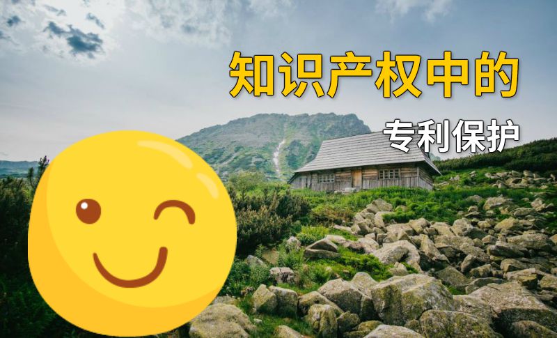 知识产权中的专利保护 动画制作软件有哪些