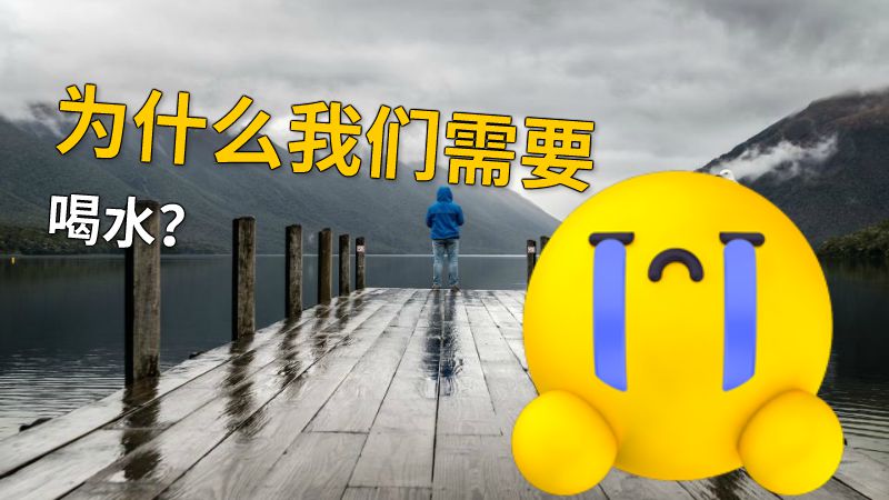为什么我们需要喝水？ 动画制作软件有哪些