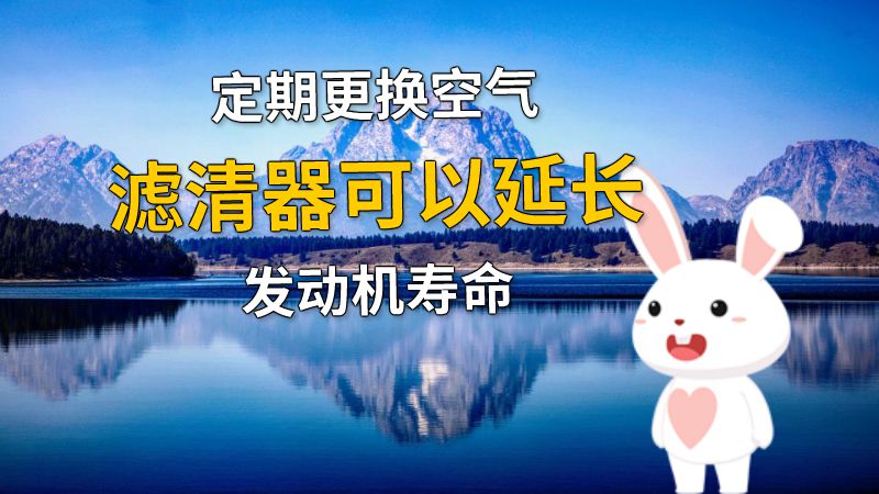 定期更换空气滤清器可以延长发动机寿命 动画制作软件有哪些