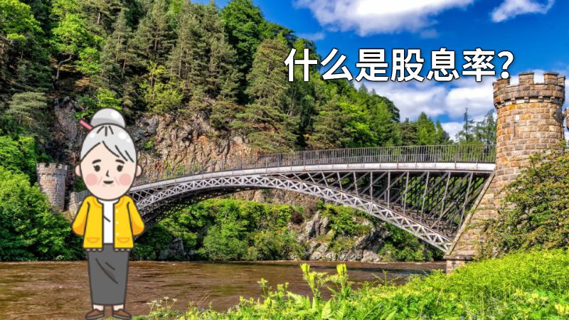 什么是股息率？ 动画制作软件有哪些