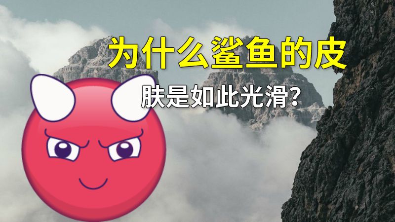 为什么鲨鱼的皮肤是如此光滑？ 动画制作软件有哪些
