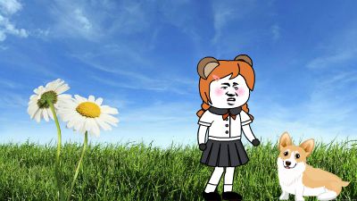 新建工程追狗 动画制作软件有哪些