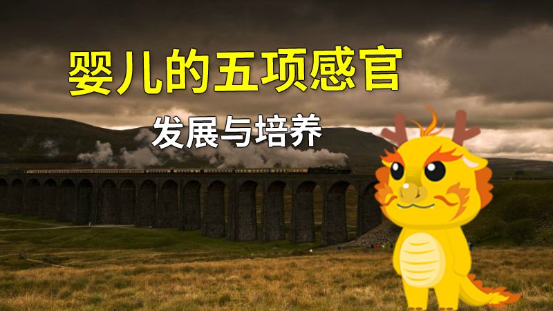 婴儿的五项感官发展与培养 动画制作软件有哪些