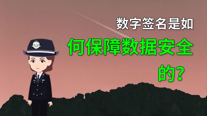 数字签名是如何保障数据安全的？ 动画制作软件有哪些