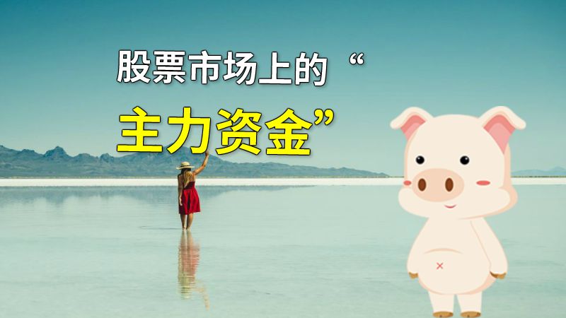 股票市场上的“主力资金” 动画制作软件有哪些