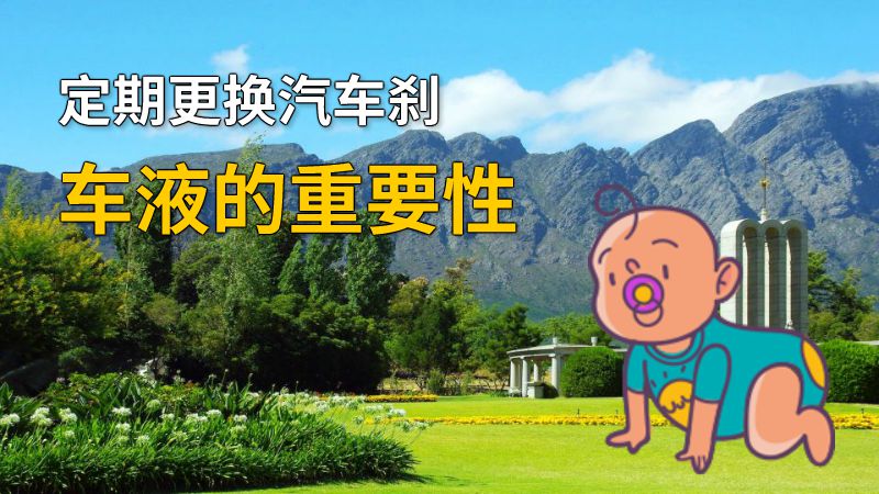 定期更换汽车刹车液的重要性 动画制作软件有哪些