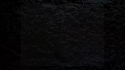 萍聚.am 动画制作软件有哪些