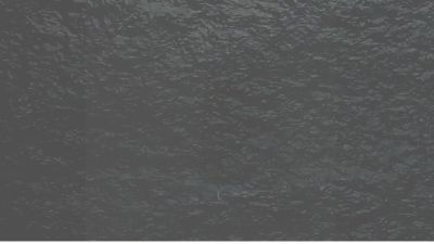 还没有爱够.am 动画制作软件有哪些