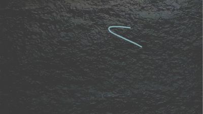 曲线1 动画制作软件有哪些