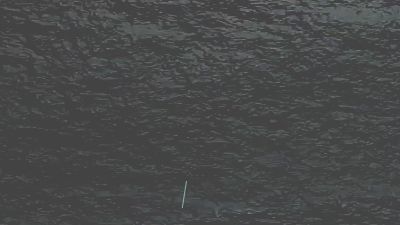 国际歌.am 动画制作软件有哪些