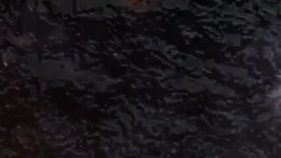 新 动画制作软件有哪些