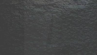 你的世界我来过.am 动画制作软件有哪些