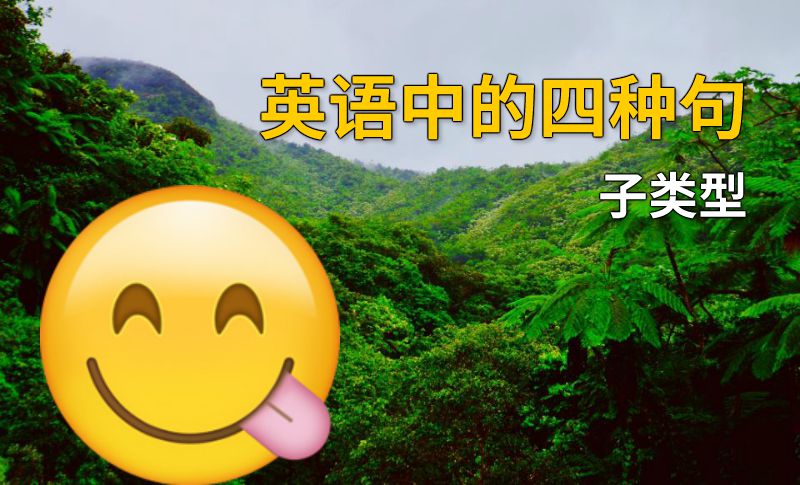 英语中的四种句子类型 动画制作软件有哪些