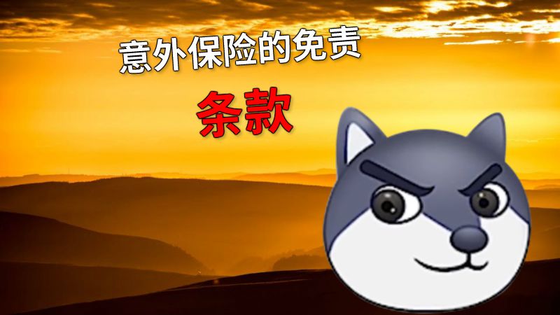意外保险的免责条款 动画制作软件有哪些