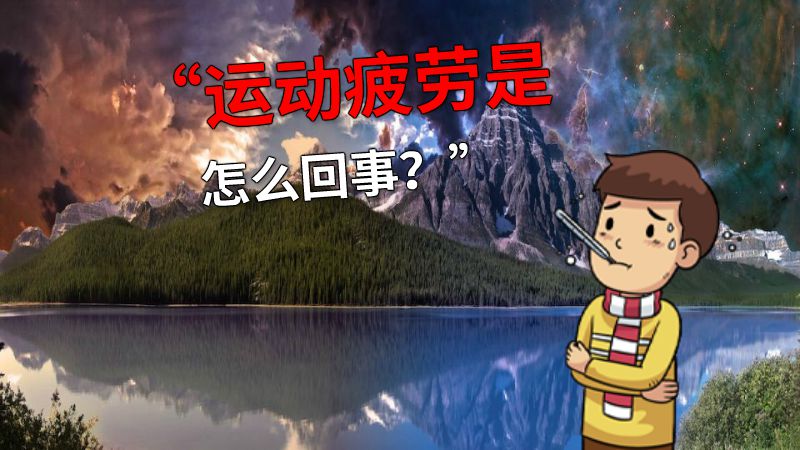 “运动疲劳是怎么回事？” 动画制作软件有哪些