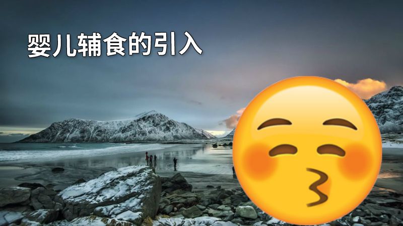 婴儿辅食的引入 动画制作软件有哪些
