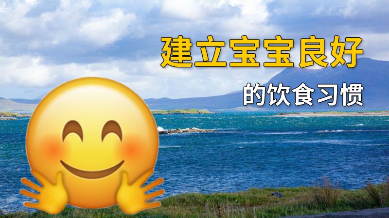 建立宝宝良好的饮食习惯 动画制作软件有哪些