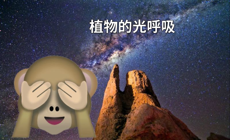 植物的光呼吸 动画制作软件有哪些
