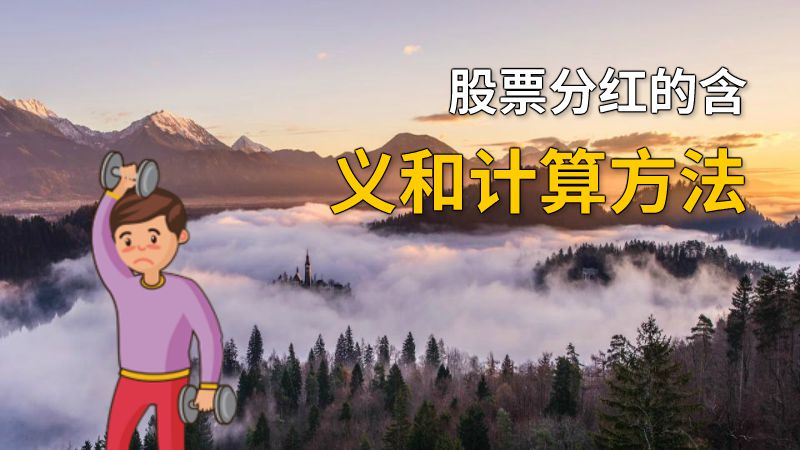 股票分红的含义和计算方法 动画制作软件有哪些