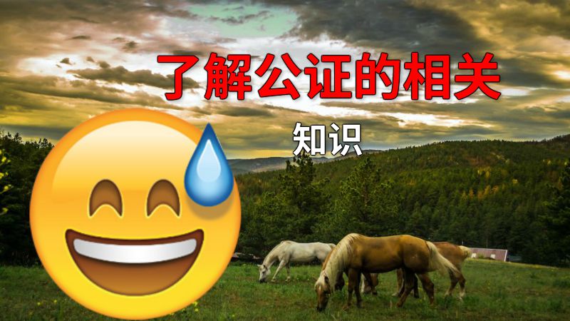 了解公证的相关知识 动画制作软件有哪些