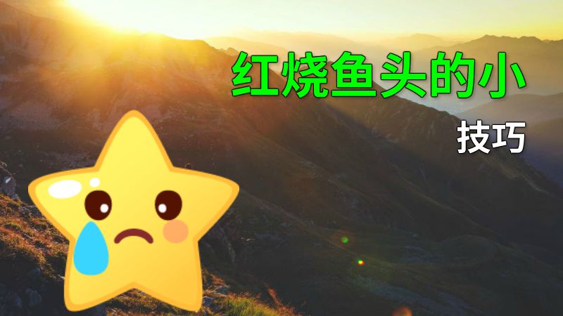 红烧鱼头的小技巧 动画制作软件有哪些