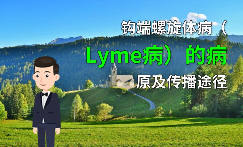 钩端螺旋体病（Lyme病）的病原及传播途径 动画制作软件有哪些