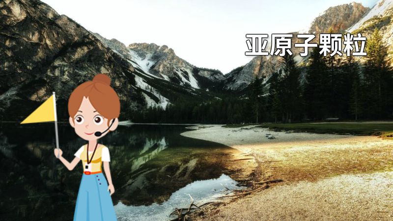 亚原子颗粒 动画制作软件有哪些
