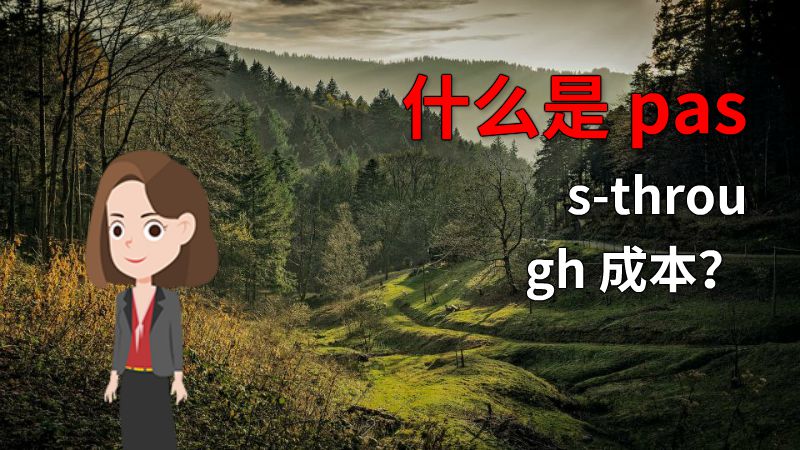 什么是 pass-through 成本？ 动画制作软件有哪些