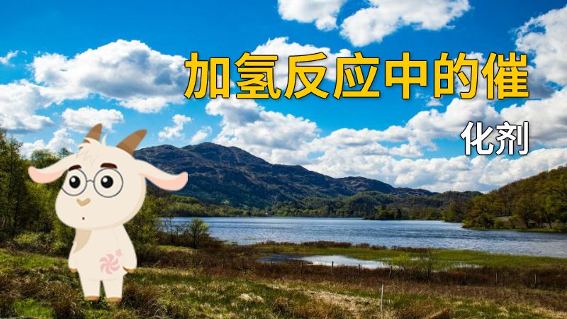 加氢反应中的催化剂 动画制作软件有哪些