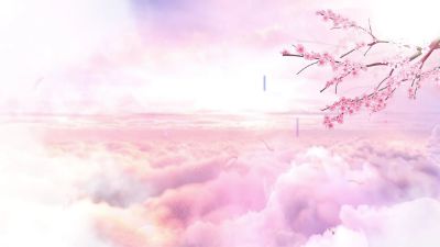 新建工程20250401.am 动画制作软件有哪些