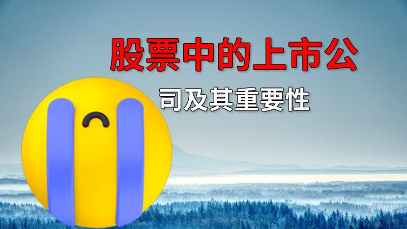 股票中的上市公司及其重要性 动画制作软件有哪些