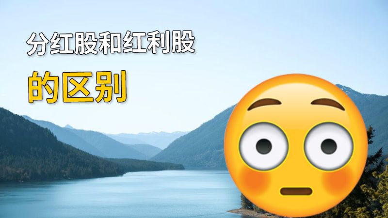 分红股和红利股的区别 动画制作软件有哪些