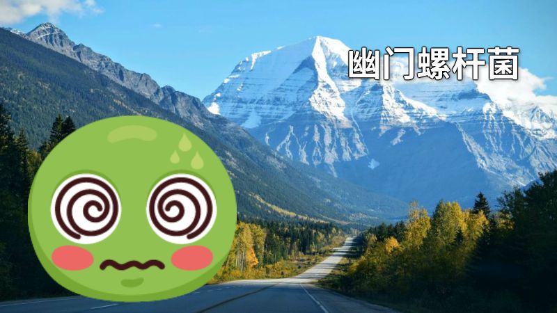 幽门螺杆菌 动画制作软件有哪些